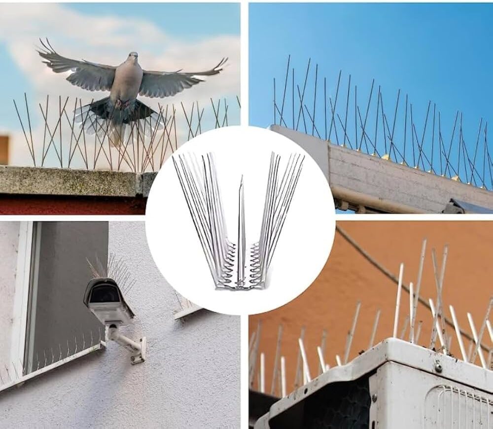 anti bird spikes