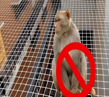 Screenshot 2025-05-25 141106